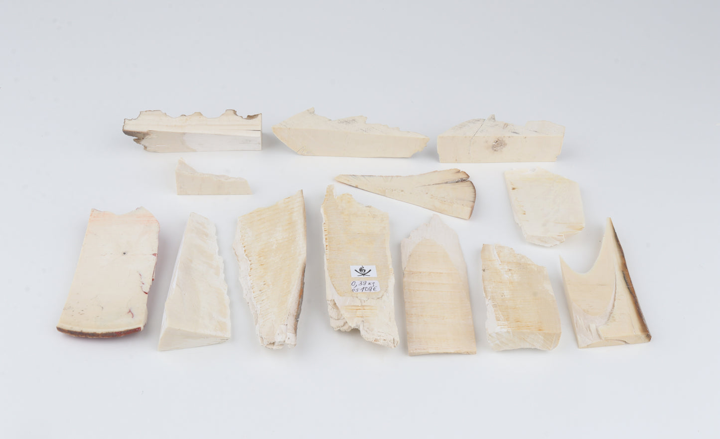 Raw mammoth ivory pieces