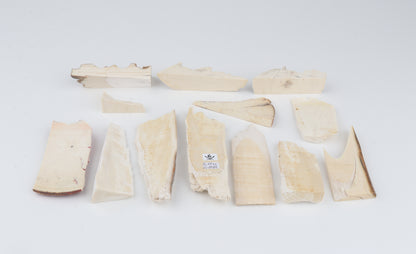Raw mammoth ivory pieces
