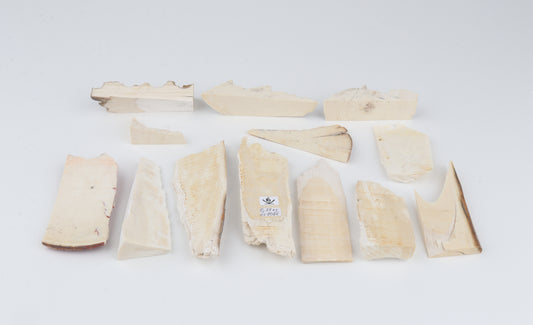 Raw mammoth ivory pieces