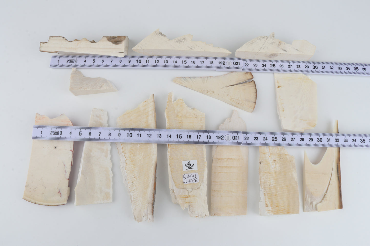 Raw mammoth ivory pieces