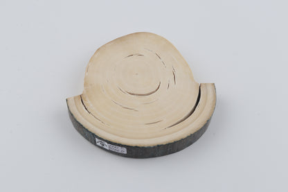 Natural woolly mammoth tusk piece