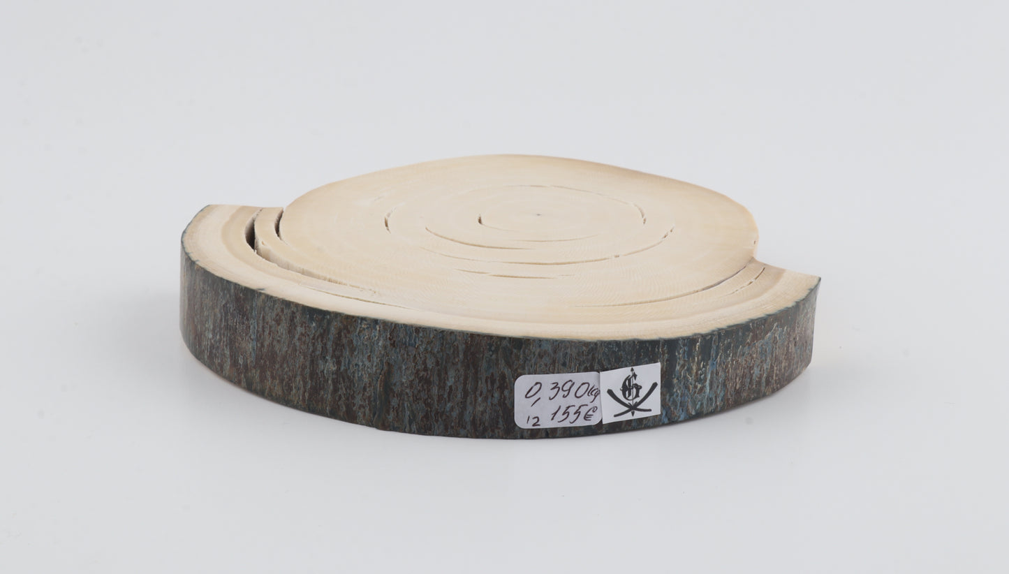 Natural woolly mammoth tusk piece