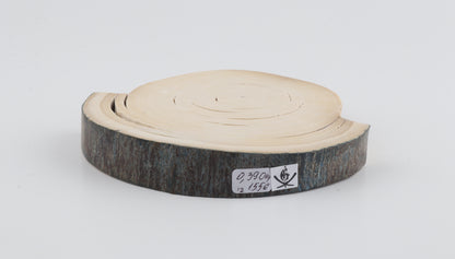 Natural woolly mammoth tusk piece