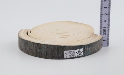 Natural woolly mammoth tusk piece