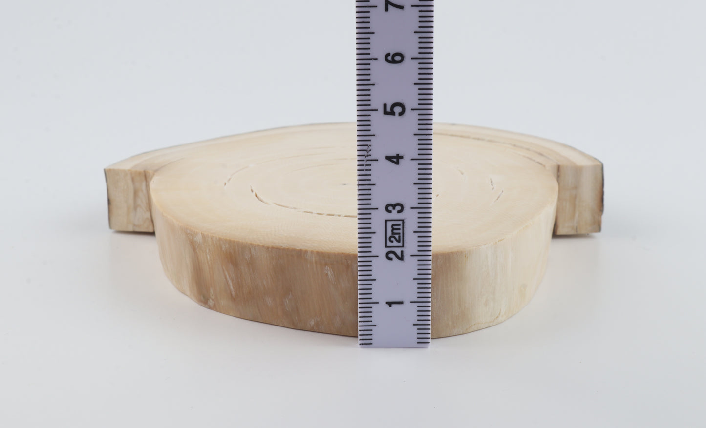 Natural woolly mammoth tusk piece