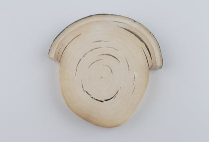 Natural woolly mammoth tusk piece