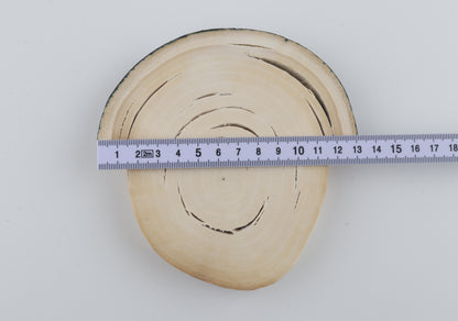 Natural woolly mammoth tusk piece