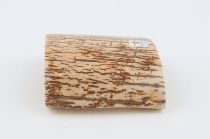 Creme-orange mammoth bark