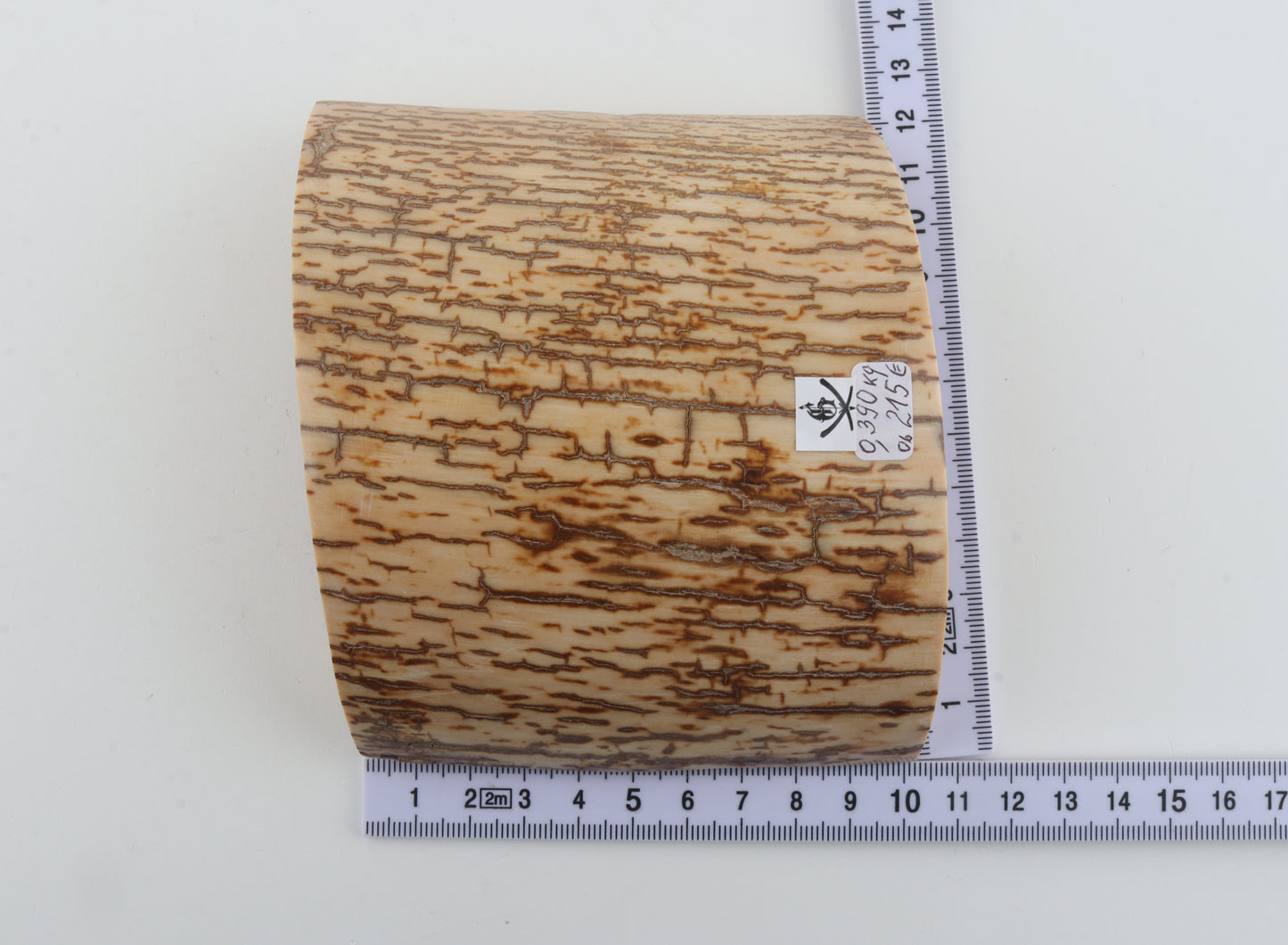 Creme-orange mammoth bark