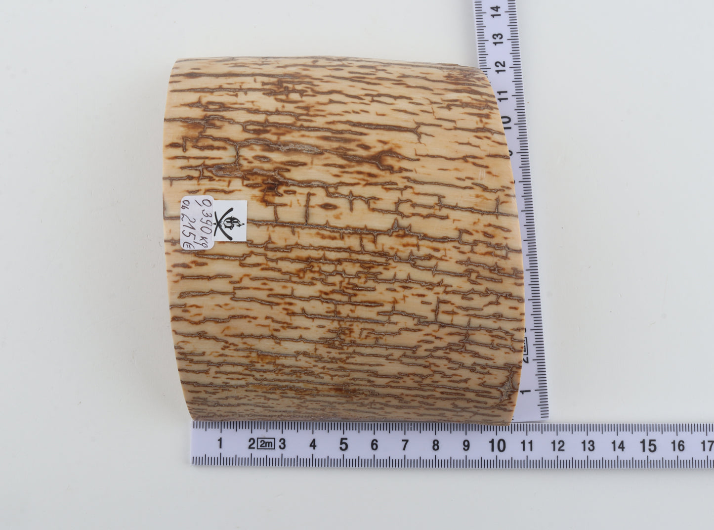 Creme-orange mammoth bark