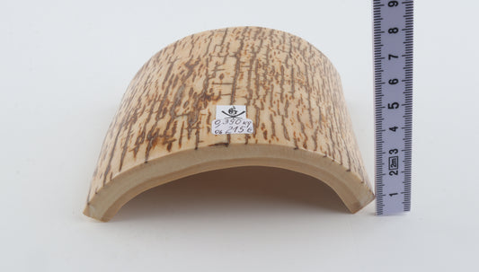 Creme-orange mammoth bark