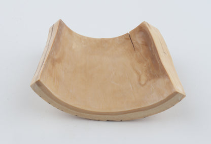 Creme-orange mammoth bark