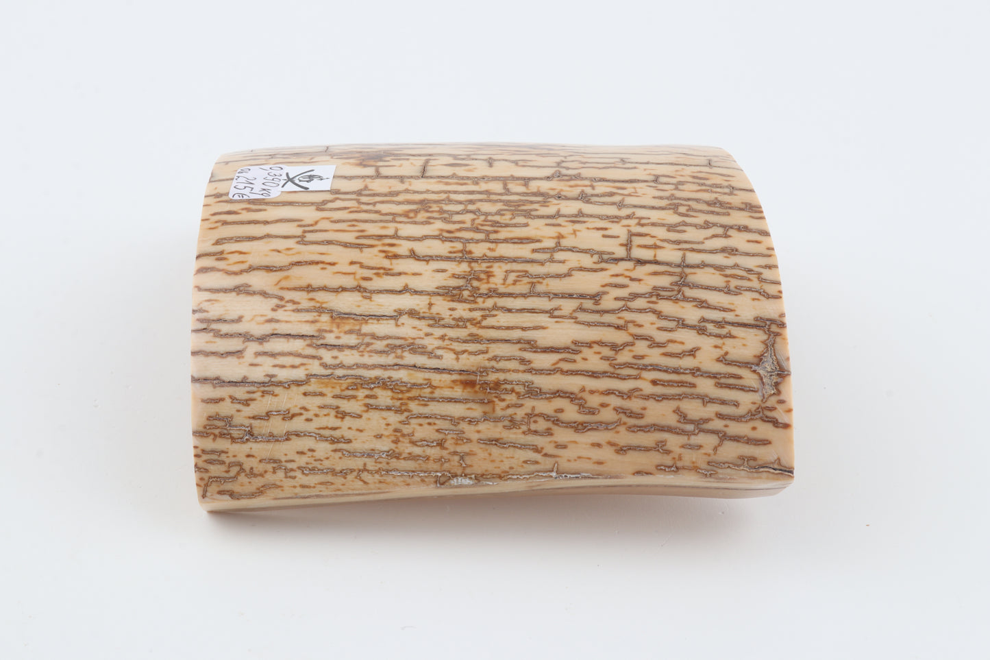 Creme-orange mammoth bark