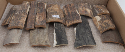 Untreated mammoth bark pieces