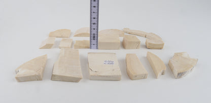 Untreated mammoth ivory pieces