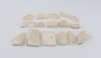 Untreated mammoth ivory pieces