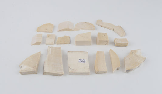 Untreated mammoth ivory pieces