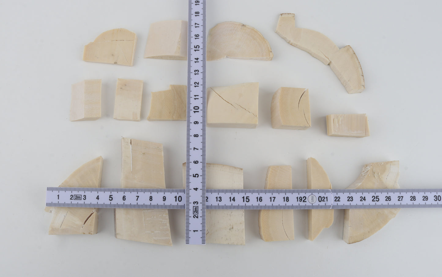 Untreated mammoth ivory pieces