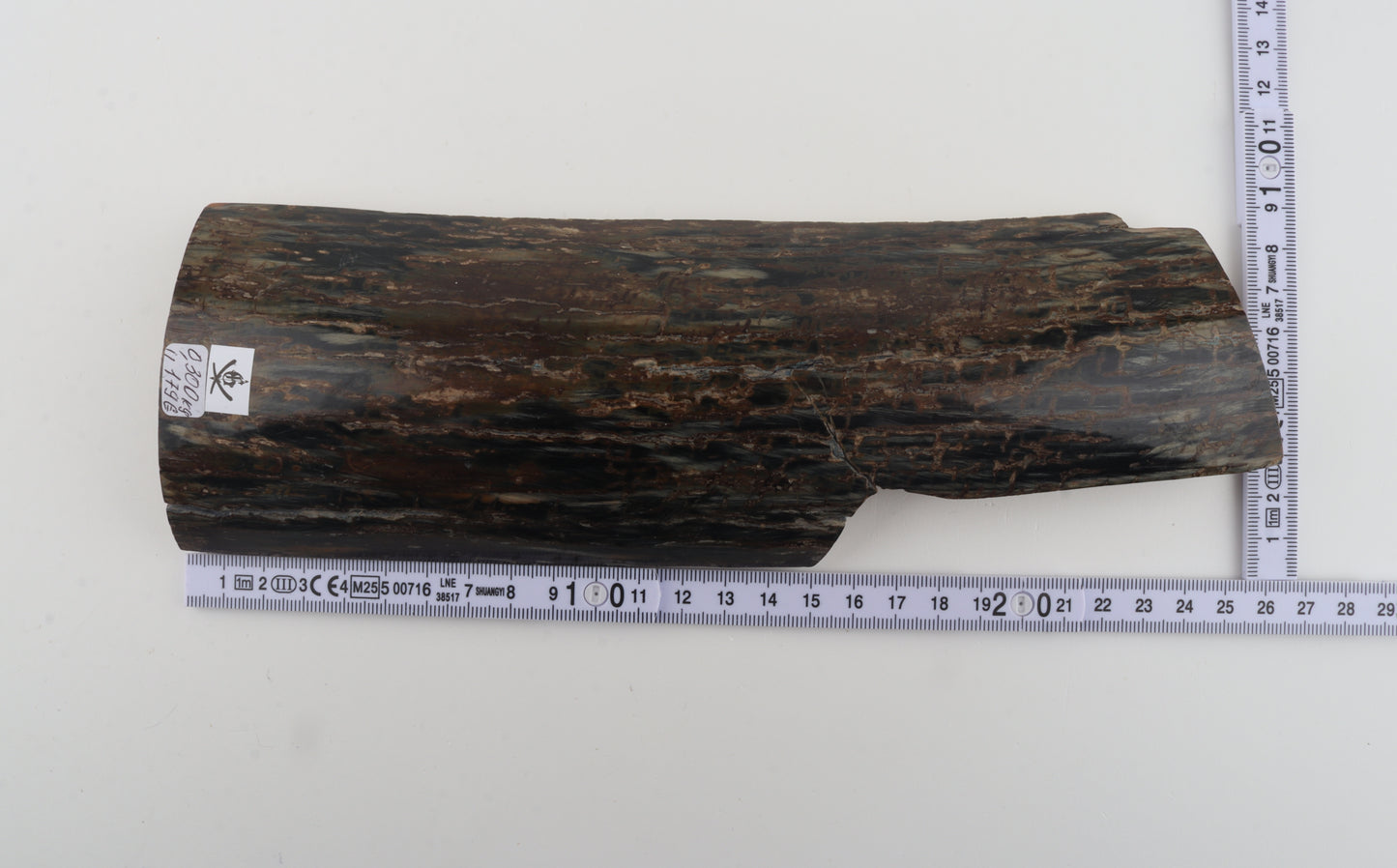 Brown-black mammoth bark