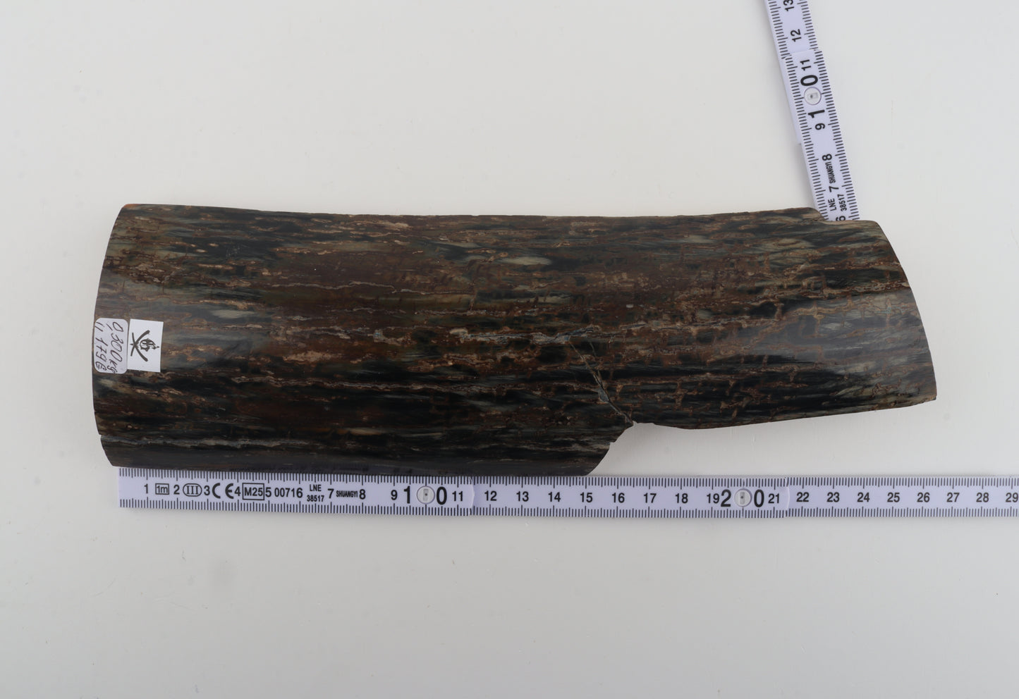 Brown-black mammoth bark