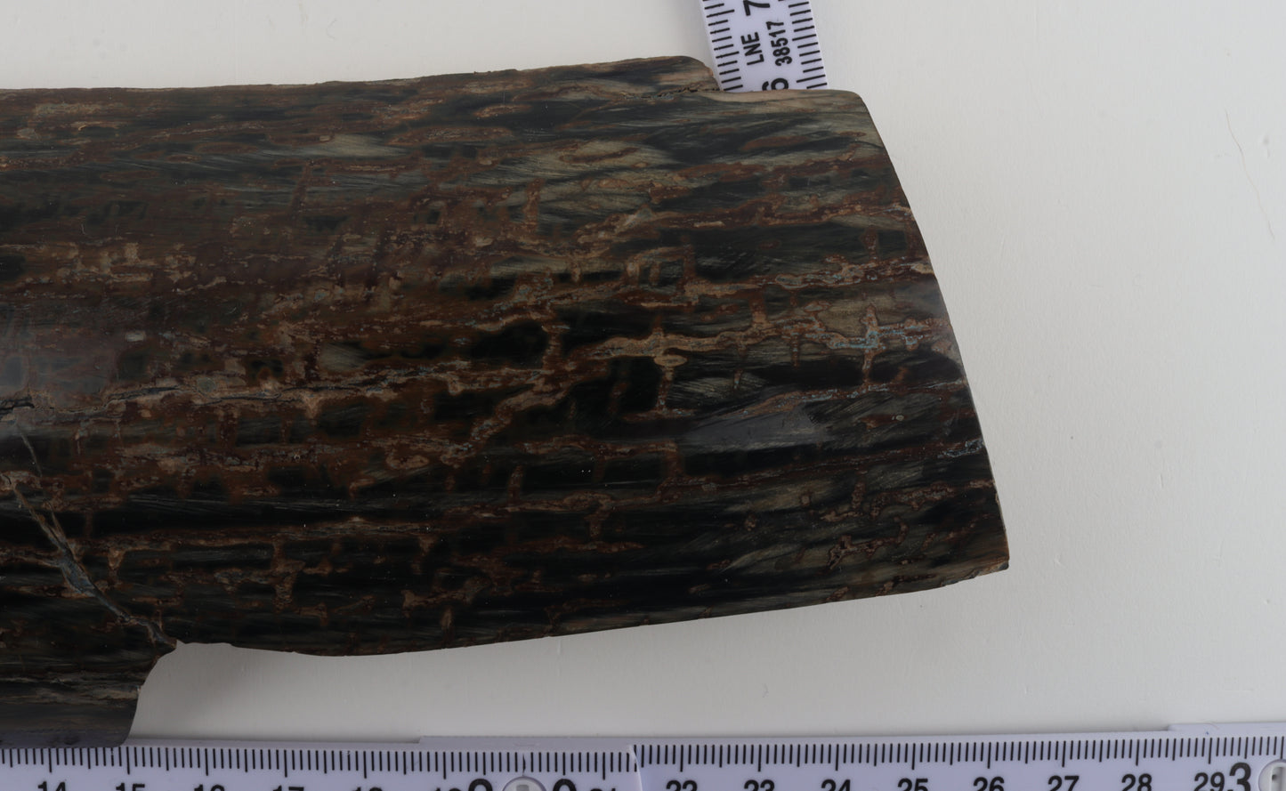 Brown-black mammoth bark