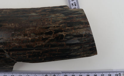 Brown-black mammoth bark