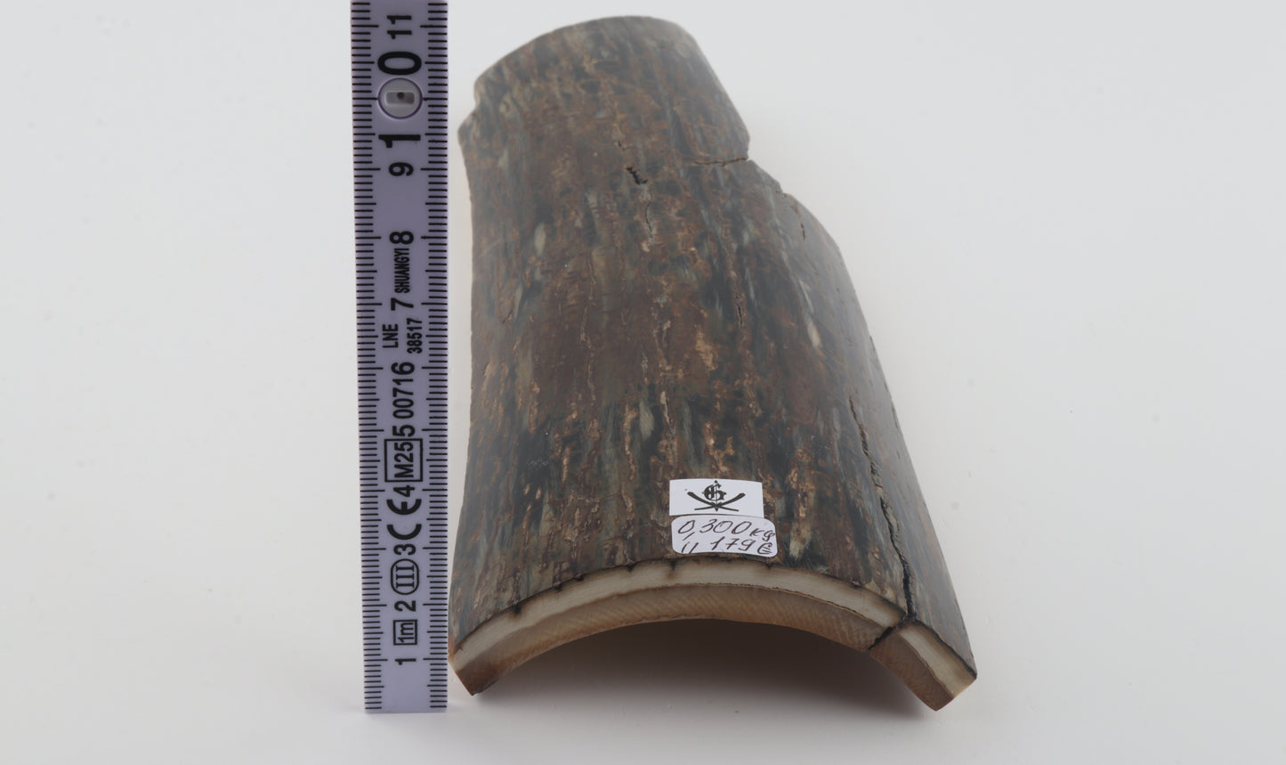 Brown-black mammoth bark