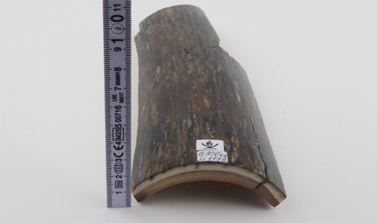 Brown-black mammoth bark