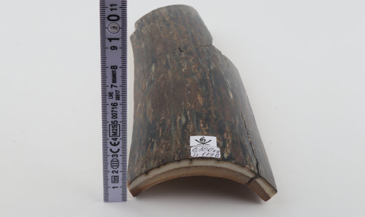 Brown-black mammoth bark