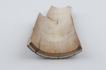 Brown-black mammoth bark