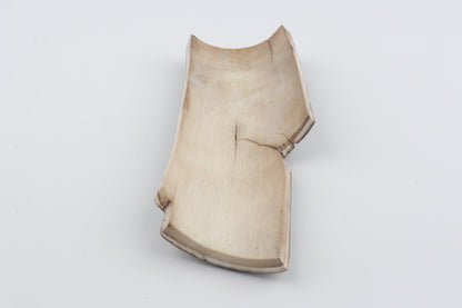 Brown-black mammoth bark