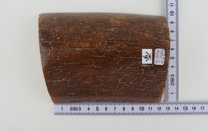 Caramel mammoth bark