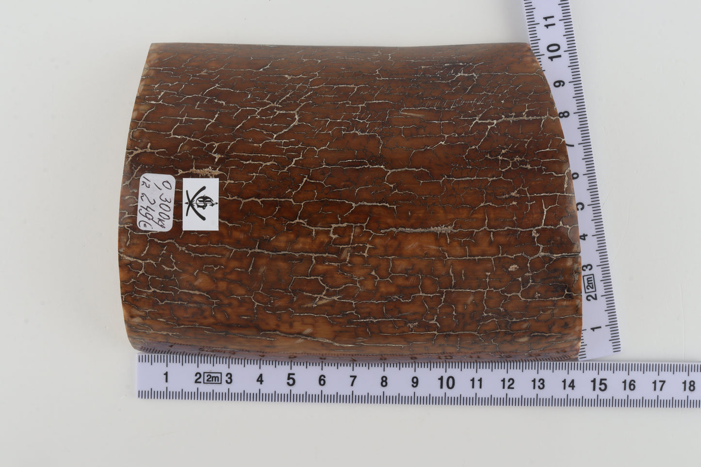 Caramel mammoth bark