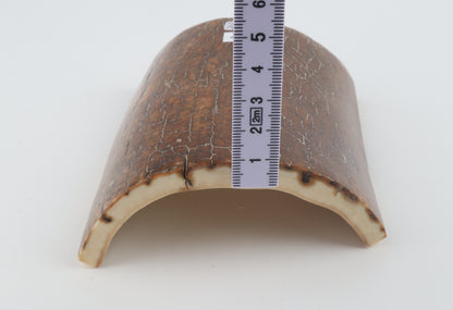 Caramel mammoth bark
