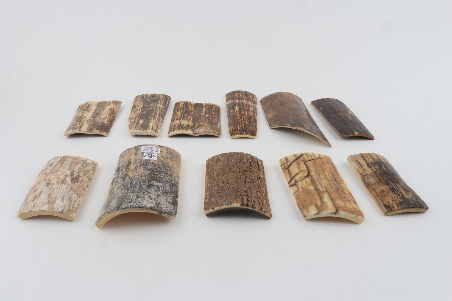Natural mammoth bark pieces