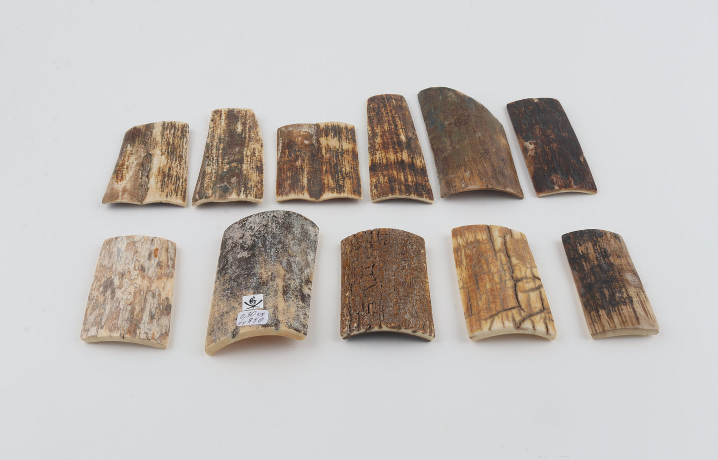 Natural mammoth bark pieces