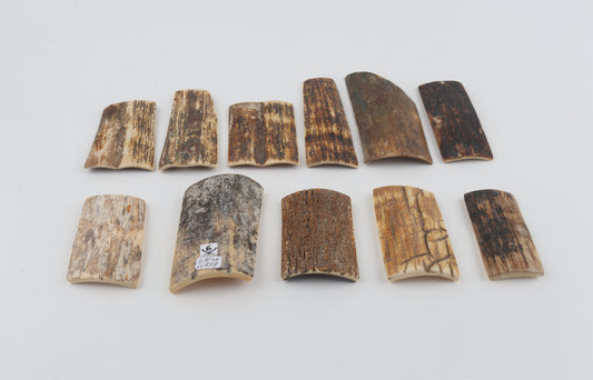 Natural mammoth bark pieces