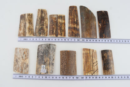 Natural mammoth bark pieces