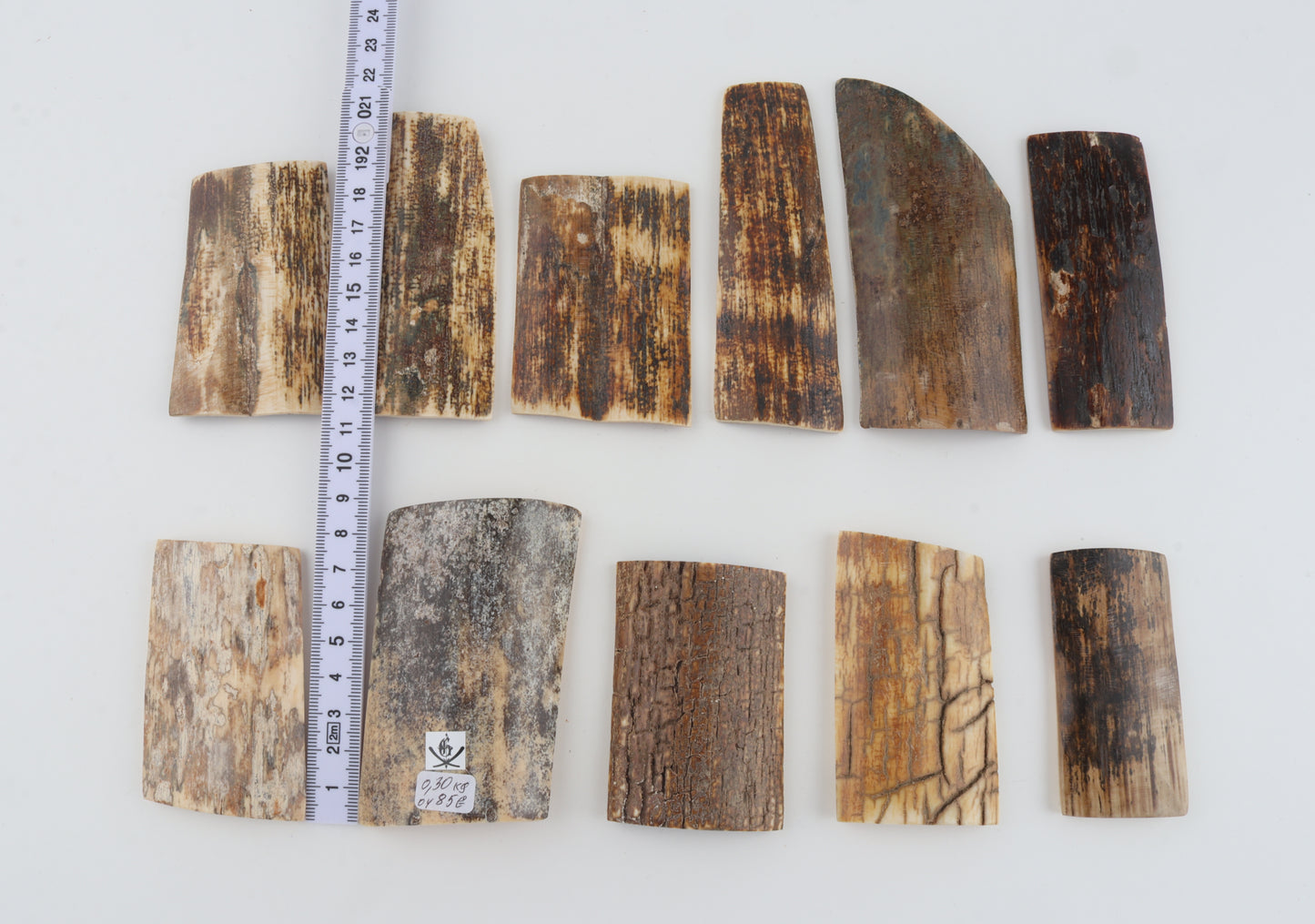 Natural mammoth bark pieces