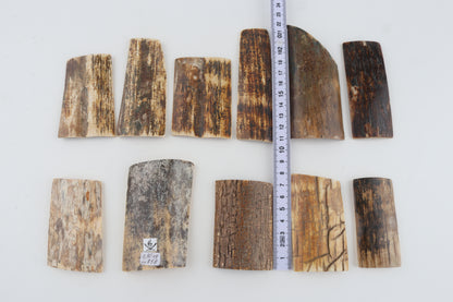 Natural mammoth bark pieces