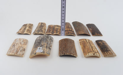 Natural mammoth bark pieces