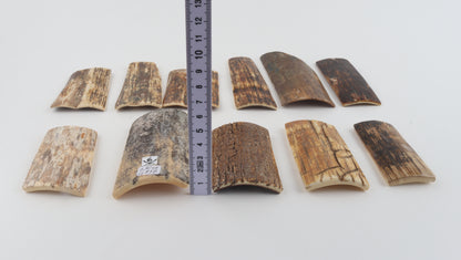 Natural mammoth bark pieces