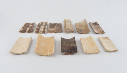 Natural mammoth bark pieces