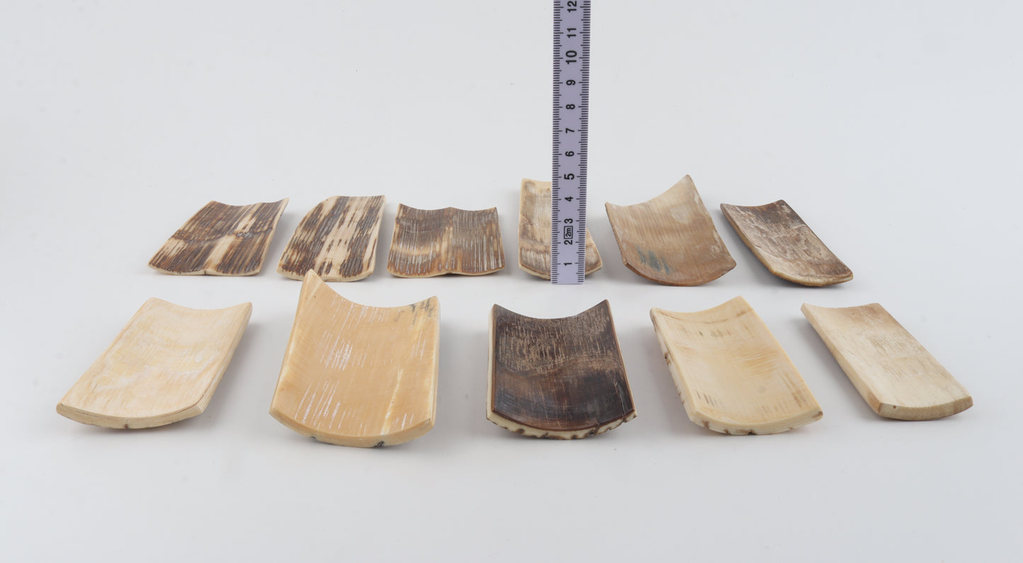 Natural mammoth bark pieces
