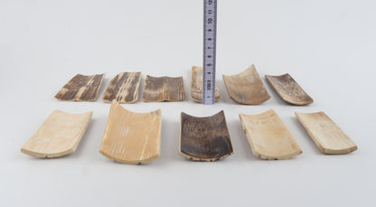 Natural mammoth bark pieces