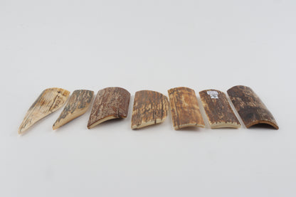 Natural mammoth bark pieces