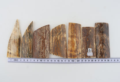 Natural mammoth bark pieces