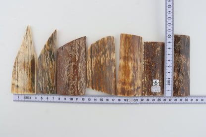 Natural mammoth bark pieces