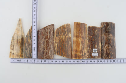 Natural mammoth bark pieces