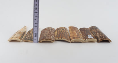 Natural mammoth bark pieces
